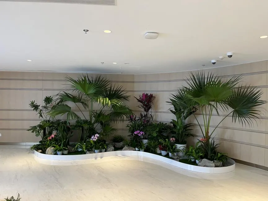 寻找花木出租？镇海这里有，给您意想不到的惊喜